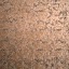 IMAG0113.jpg