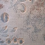 IMAG0130.jpg