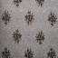 IMAG0207.jpg